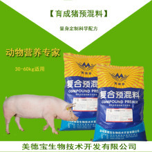 【大白豬_大白豬