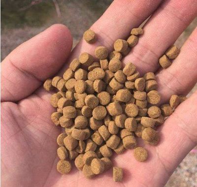 魚飼料的質量好壞怎么分辨?