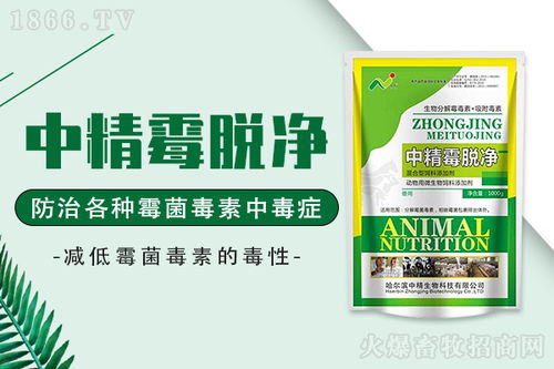 解救霉菌毒素中毒豬 豬群霉菌毒素中毒的原因和防治方法,養豬人快收藏