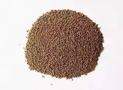 無論你是什么模式養蝦,做好這幾點,飼料至少省十萬