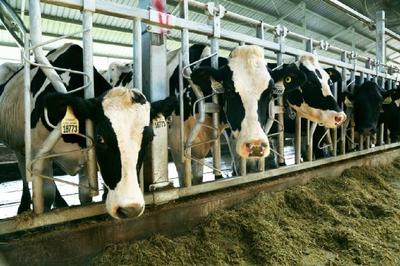 “當紅”與“長紅”的十字路口,國潮品牌怎么走?