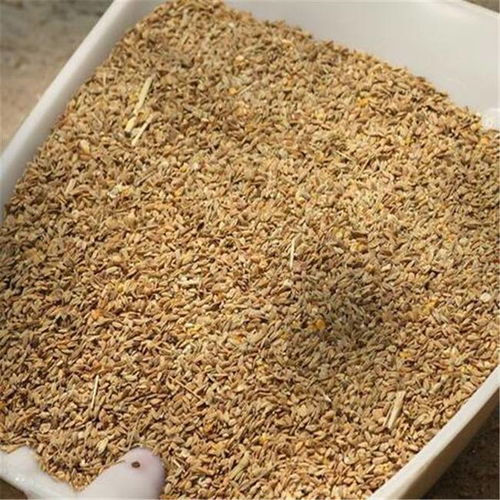 21歲接任廠長,34年后成江西首富,身價250億,員工人數超5萬