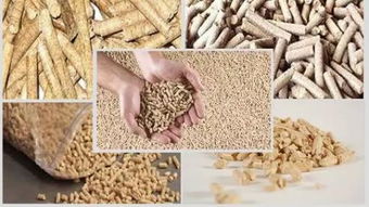 養(yǎng)鵝的必備條件與鵝病防治常識(shí)