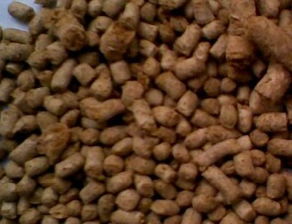 水產(chǎn)飼料調(diào)高油脂后的注意事項(xiàng)