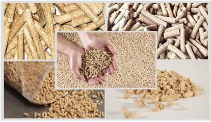 中國(guó)農(nóng)業(yè)科學(xué)院飼料研究所研究員蔡輝益:中國(guó)飼料工業(yè)未來發(fā)展趨勢(shì)