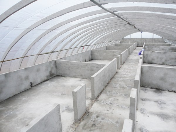 養豬如果能形成生態循環就能做成大企業,生態養豬大棚怎么建設