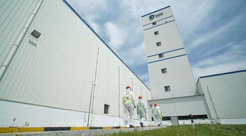 面對 飼料禁抗與新冠肺炎 ,帝斯曼應對之策有何獨到之處