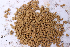 【鯉魚魚飼料】鯉魚魚飼料價格/圖片_鯉魚魚飼料批發(fā)/采購_鯉魚魚飼料廠家/供應(yīng)商