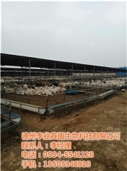 健康養(yǎng)殖微生態(tài)飼料廠家圖片/健康養(yǎng)殖微生態(tài)飼料廠家樣板圖