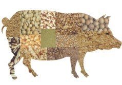 濟寧口碑好的豬飼料·廠家直銷|代理豬飼料價格圖片|濟寧口碑好的豬飼料·廠家直銷|代理豬飼料價格產(chǎn)品圖片由鄒城市悅源工貿(mào)公司生產(chǎn)提供-