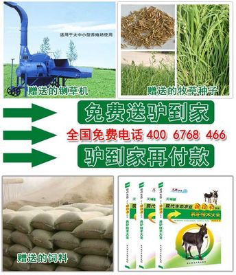 4546_供應信息_金農網