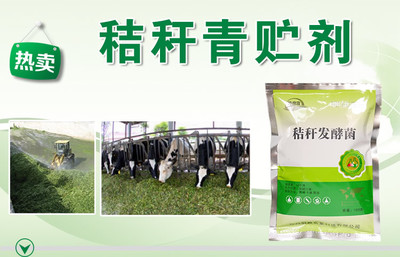 秸稈怎么做青貯飼料要加什么進去