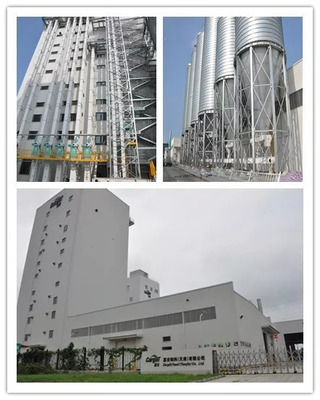 嘉吉獨創乳仔豬成長力——農場性能評估新方案