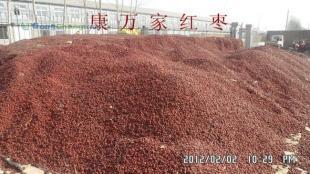 供應普通級禽畜用飼料棗_農副產品_世界工廠網中國產品信息庫