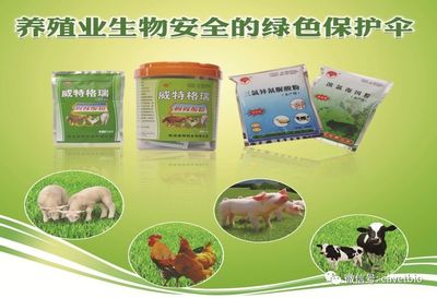 【疫病知識】動物疫病風險分析之概念與危害識別