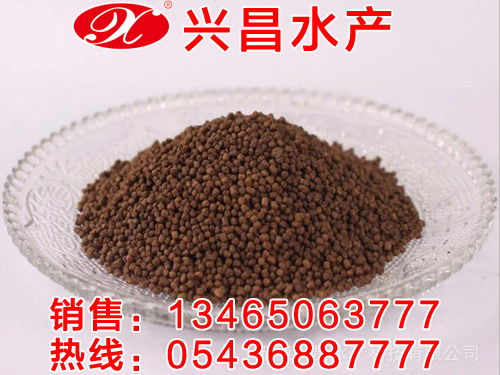 觀賞魚飼料報價 廠家