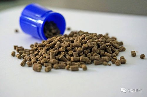 飼料蛋白質,真的越高越好 養殖高手 最重要的消化率