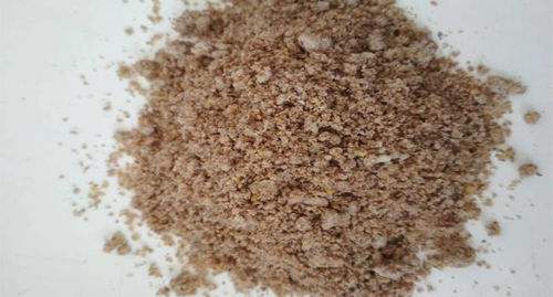 牛羊等反芻動物吃發酵飼料有什么優勢