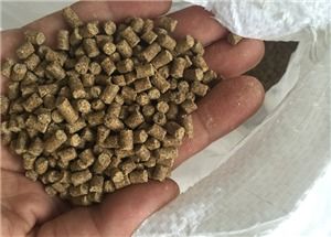 宏德大農與通威水產飼料在福州市場的戰略布局