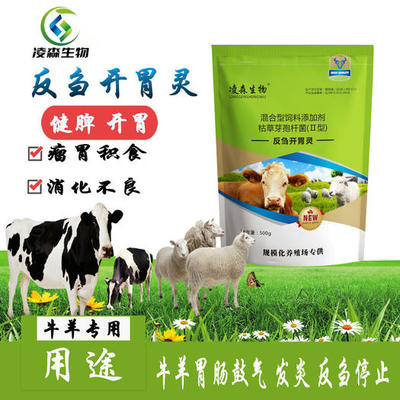 飼料酵母粉 提升動(dòng)物健康與生產(chǎn)性能的營養(yǎng)利器